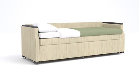 Fairchild+flip sleeper sofa